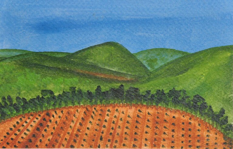 Sem título [Paisagem de Vassouras]