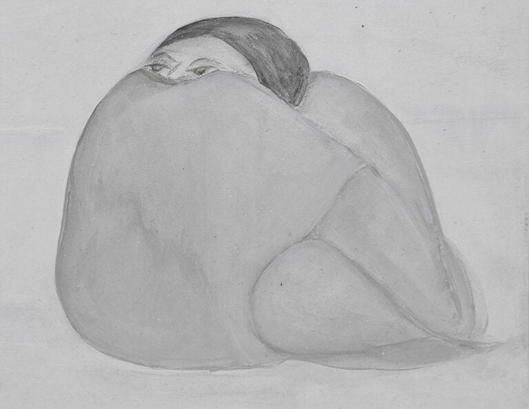 Sem título [Índia boliviana]